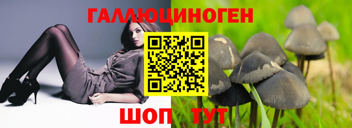 Петропавловск-Камчатский  Псилоцибиновые грибы прущие грибы  Вход с VPN 